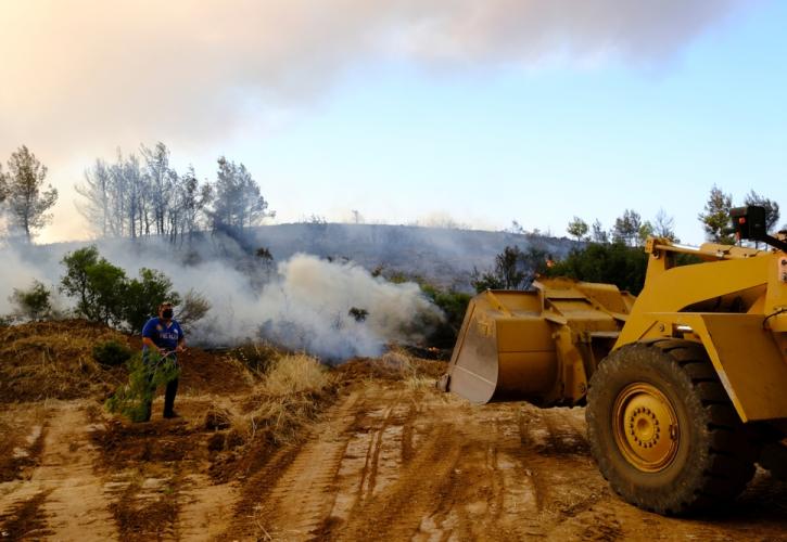 Οι φωτιές δείχνουν γιατί χρειάζεται ένας ακμαίος αγροτικός πληθυσμός στα σύνορα. Εισπράξαμε το μήνυμα;