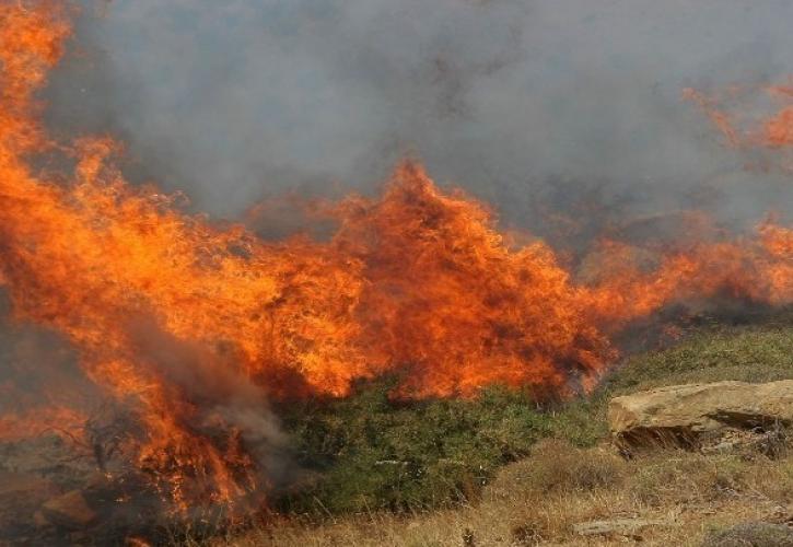 ΓΓΠΠ: Πολύ υψηλός κίνδυνος πυρκαγιάς την Κυριακή σε πέντε περιφέρειες