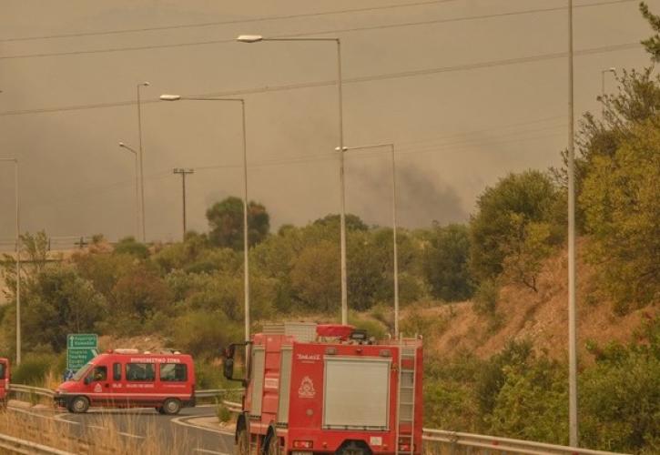 Έβρος: Συνεχίζεται η μάχη με τις φλόγες για 15η μέρα