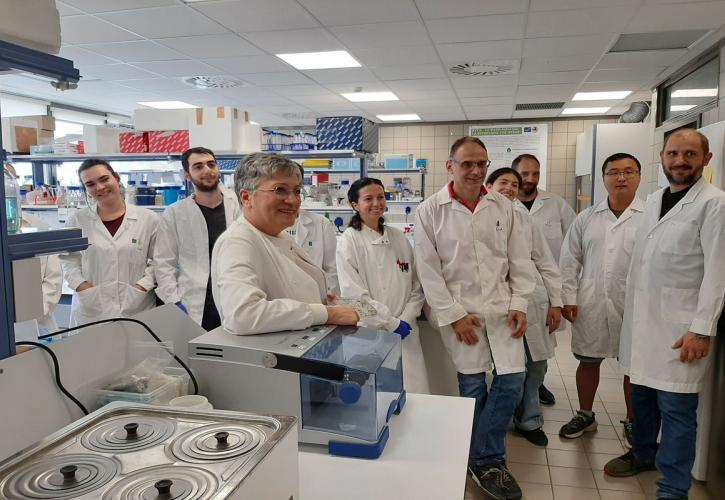 Μικροβιακά εμβόλια εναντίον γεωργικών φαρμάκων ανακάλυψαν ερευνητές ελληνικών πανεπιστημίων