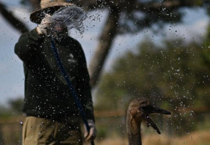 Ακραίος καύσωνας στη Βραζιλία - Στους 62,3 βαθμούς Κελσίου η αισθητή θερμοκρασία στο Ρίο