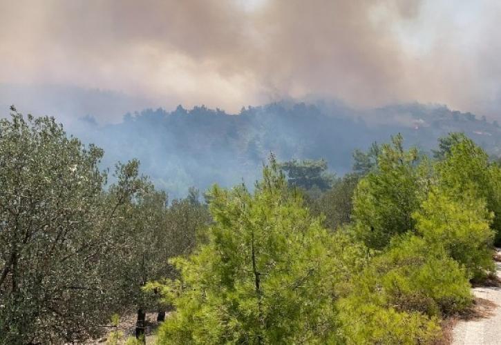 Περισσότερες από 20 συλλήψεις για εμπρησμούς από την αρχή του έτους