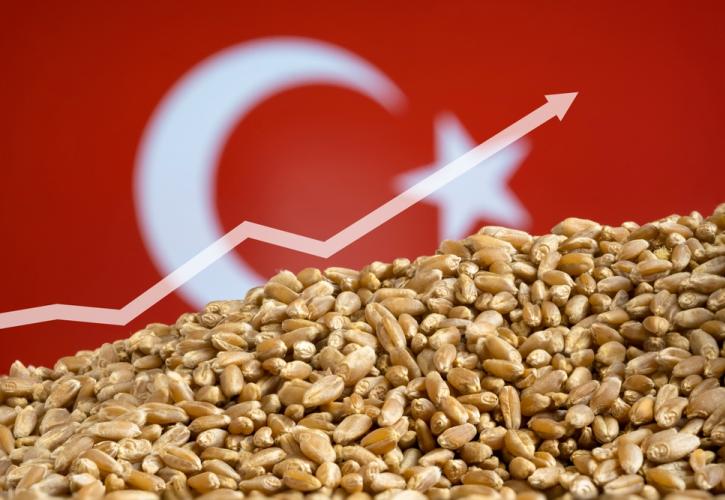 Τουρκικές αποφάσεις δυναμιτίζουν την ελληνική παραγωγή σκληρού σιταριού!