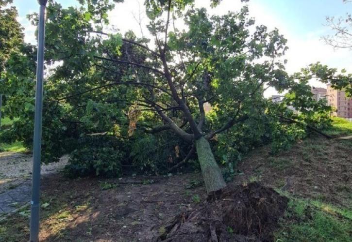 Θεσσαλονίκη: 150 κλήσεις δέχθηκε η Πυροσβεστική – Στα 106 χλμ/ώρα οι ριπές του ανέμου