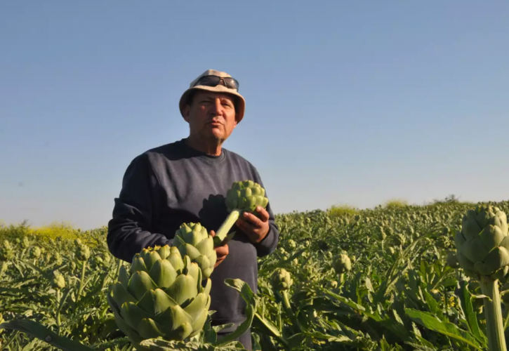 Το «αγροτικό θαύμα» του Ισραήλ κινδυνεύει από την μαζική έξοδο αλλοδαπών εργατών