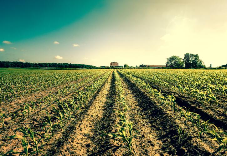 Έως και 344 εκατ. λιγότερες γεωργικές εκμεταλλεύσεις μέχρι το 2100!