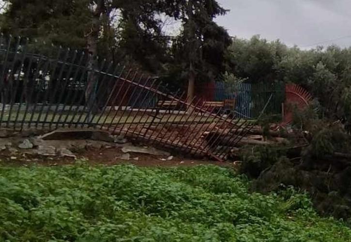 Θεσσαλονίκη: Κλειστά δύο σχολεία τη Δευτέρα στην Πυλαία λόγω πτώσης δέντρων