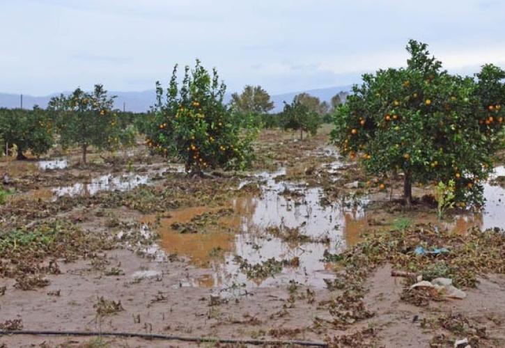 Συνεχίζονται οι προκαταβολές του 50% της κρατικής αρωγής – Μέχρι σήμερα έχουν καταβληθεί 23,6 εκατ. ευρώ