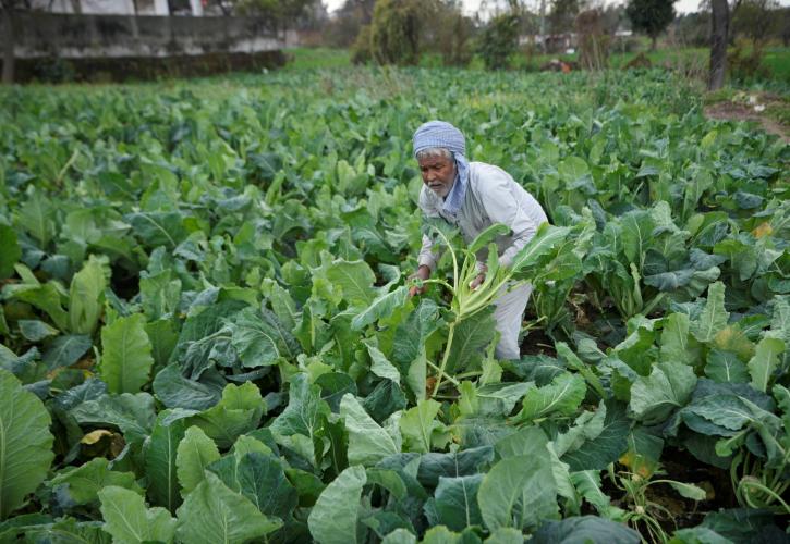 Η «αγροτική» Ινδία: Αγώνας ανάμεσα στην σύγχρονη τεχνολογία και την πείνα