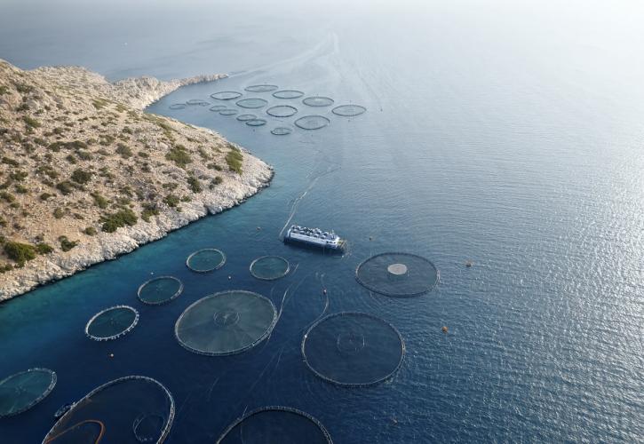Philosofish: Πρωτοπόρος στη Μεσόγειο στη χρήση ανανεώσιμων πηγών ενέργειας