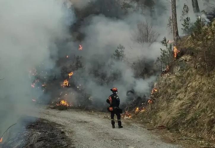 Οι αυταπάτες της Νέας Αριστεράς - Τα ρίσκα των ευρωεκλογών - Σιωπητήριο στον ΣΥΡΙΖΑ ενόψει κάλπης - Η αγωνία της Κύπρου