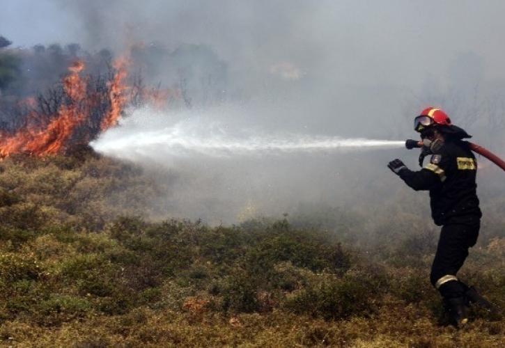 Πυρκαγιά σε αγροτοδασικές εκτάσεις σε Φθιώτιδα και Βοιωτία