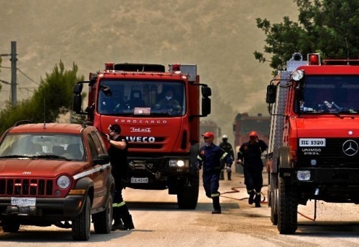 Υπό μερικό έλεγχο η πυρκαγιά σε αγροτοδασική έκταση στη Βοιωτία