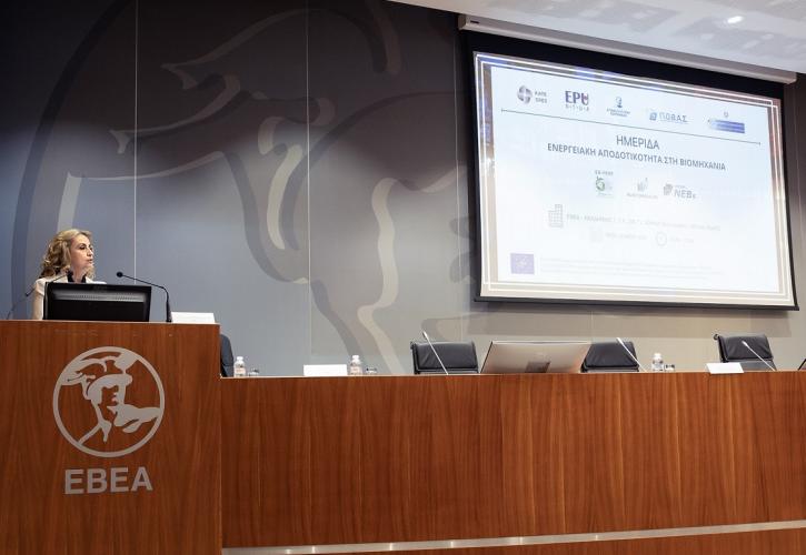 Εφραίμογλου: Η ΕΕ οφείλει να επενδύσει περισσότερα στα ενεργειακά δίκτυα