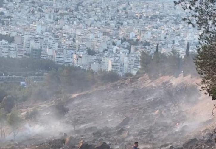Από βεγγαλικά η φωτιά στο Άλσος Βεΐκου - Τρεις προσαγωγές ανηλίκων