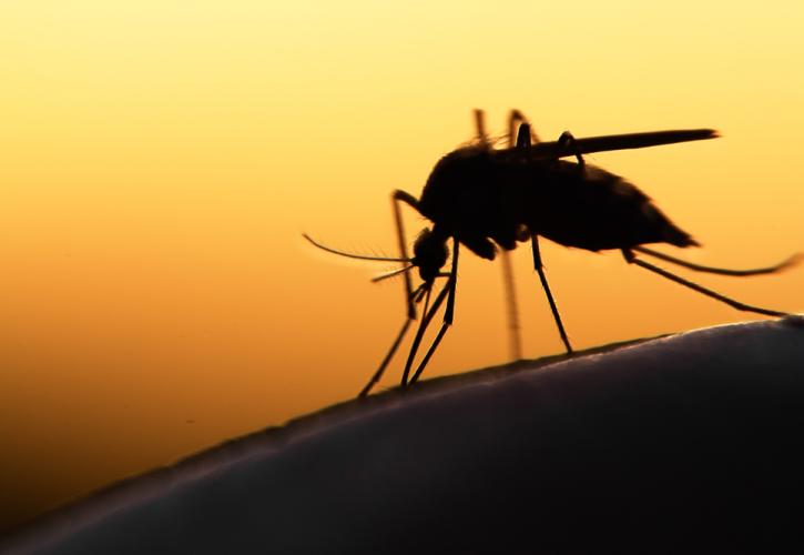 Τα κουνούπια δεν τσιμπάνε όλους το ίδιο - Οι παράγοντες που τα έλκουν