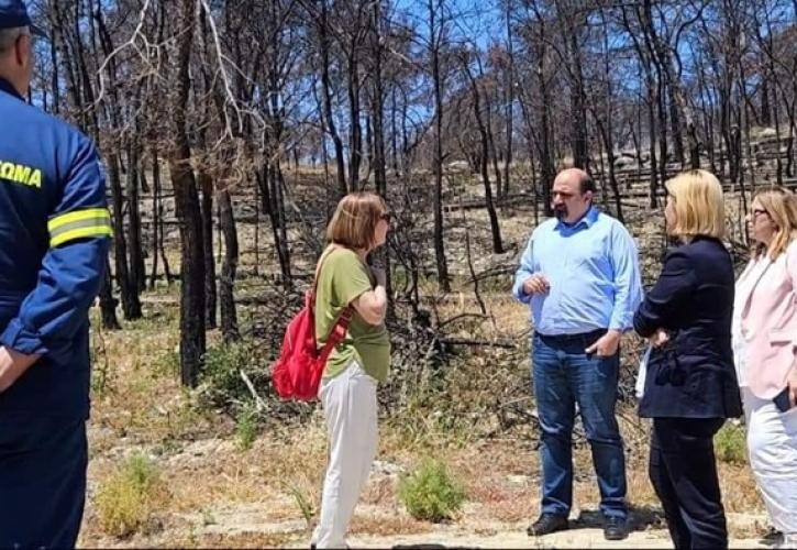 Τριαντόπουλος από Ρόδο: Ξεπερνά τα 30 εκατ. το σχέδιο στήριξης και αποκατάστασης μετά την πυρκαγιά του καλοκαιριού