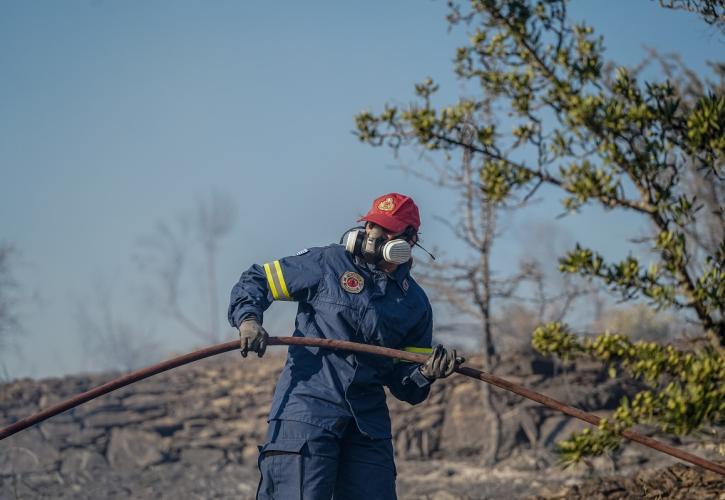 Φωτιά στον Αγ. Βλάση Βοιωτίας - Μήνυμα στους κατοίκους από το 112