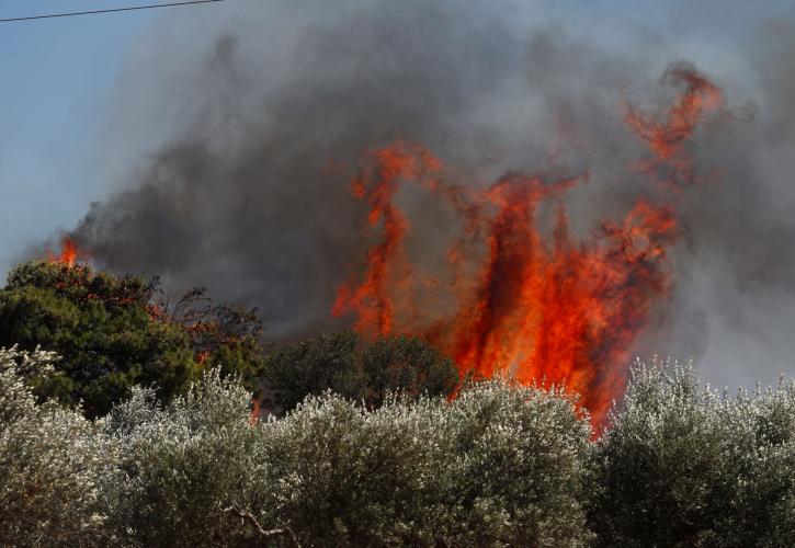 Πυροσβεστική: Πολύ δύσκολη η Τετάρτη με μία νέα πυρκαγιά κάθε 10 λεπτά