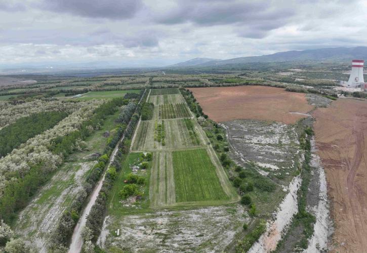 ΔΕΗ: Ιδρυτικό μέλος στη διεθνή πρωτοβουλία «Συμμαχία για τη Βιώσιμη Διαχείριση της Βιοποικιλότητας»