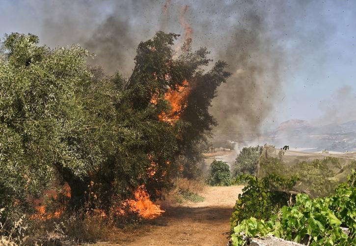 Θεσσαλονίκη: Υπό μερικό έλεγχο η φωτιά στην Πλάκα Λιτοχώρου