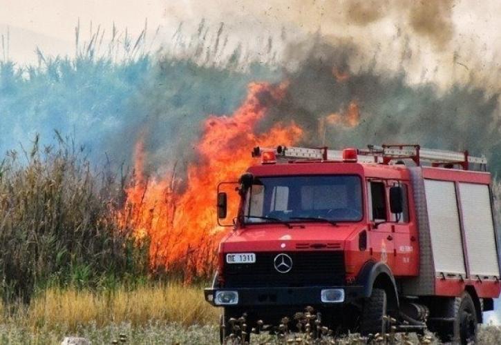 Πυρκαγιά σε γεωργική έκταση στην Πογωνιά Βόνιτσας