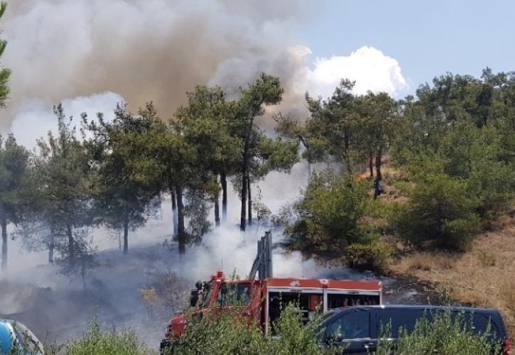 Φωτιά στην Αττική: Η ένταση των ανέμων μέχρι το απόγευμα της Δευτέρας