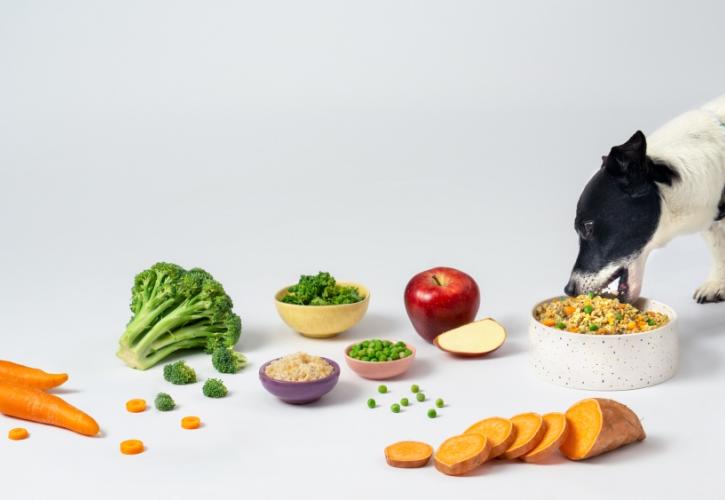 petchef: Ολοκλήρωσε νέο γύρο χρηματοδότησης ύψους άνω του 1 εκατ. ευρώ
