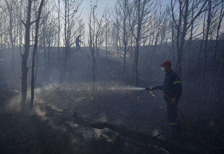 Ασφαλιστικές: Ξεπερνούν τα 11 εκατ. ευρώ οι αποζημιώσεις για τις πυρκαγιές του Αυγούστου
