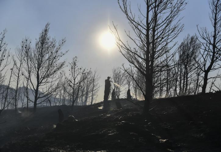Πυροσβεστική: 41 πυρκαγιές το τελευταίο εικοσιτετράωρο σε όλη τη χώρα