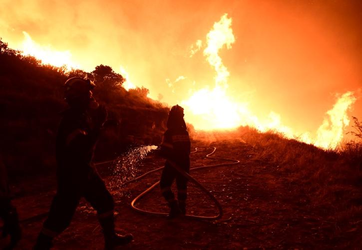 Σε εξέλιξη πυρκαγιά στη Νάξο - Μεγάλη κινητοποίηση της Πυροσβεστικής