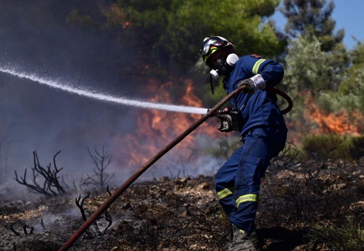Μεγάλη πυρκαγιά στη Ριτσώνα - Στη μάχη 100 πυροσβέστες και 9 εναέρια μέσα