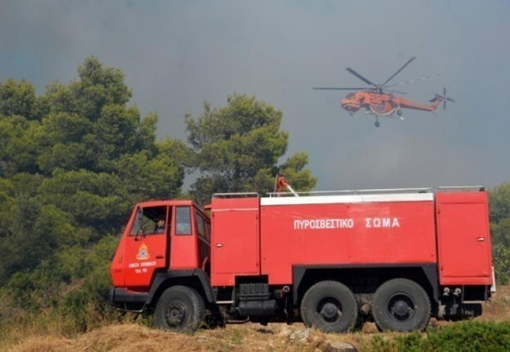 Σε ύφεση οι πυρκαγιές σε Ιεράπετρα και Ρέθυμνο