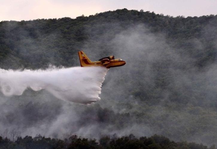 Πυροσβεστική: 53 αγροτοδασικές πυρκαγιές το τελευταίο 24ωρο σε όλη τη χώρα
