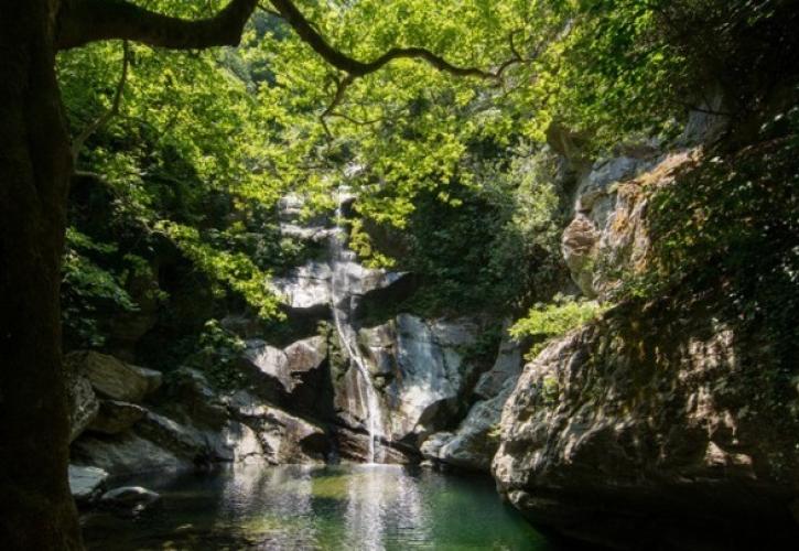 Thessaly Evros Pass: Αυξάνονται τα ποσά των άυλων ψηφιακών χρεωστικών καρτών για τη Φάση 3