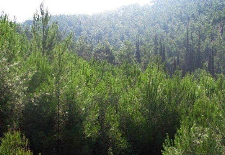 ΥΠΕΝ: Με 281 εξειδικευμένα οχήματα ενισχύονται η Δασική Υπηρεσία και ο ΟΦΥΠΕΚΑ