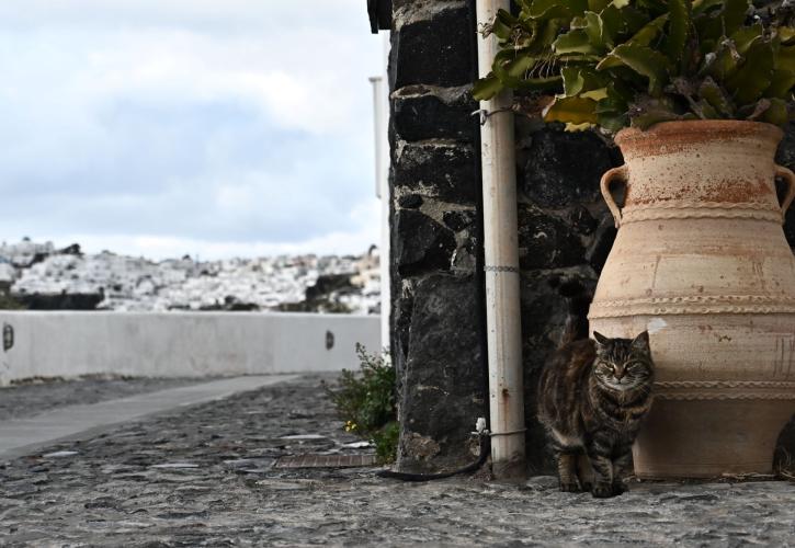 Αυξημένη εδαφική παραμόρφωση στη Σαντορίνη - Σε ύφεση η σεισμική ακολουθία