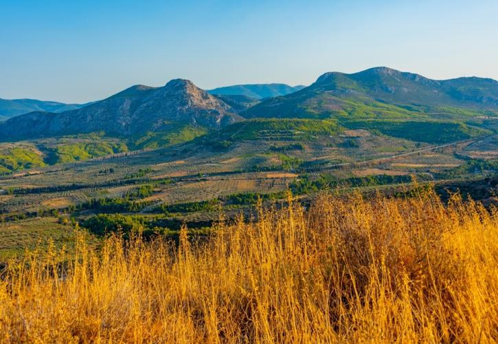 Κλιματική αβεβαιότητα και ΕΛΓΑ: Όταν ο παγετός του Απριλίου «παγώνει» την οικονομία της υπαίθρου