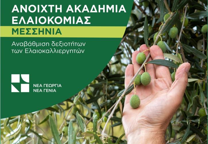 Νέα Γεωργία Νέα Γενιά: «Ακαδημία Ελαιοκομίας» στην Μεσσηνία