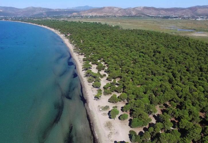 Κατεπείγουσα εισαγγελική έρευνα για παράνομες κατασκευές στο πάρκο Σχινιά