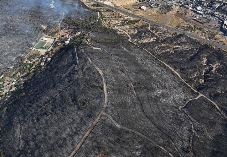 H απώλεια δασικής βλάστησης λόγω των πυρκαγιών αυξάνει δραματικά τις θερμοκρασίες εδάφους