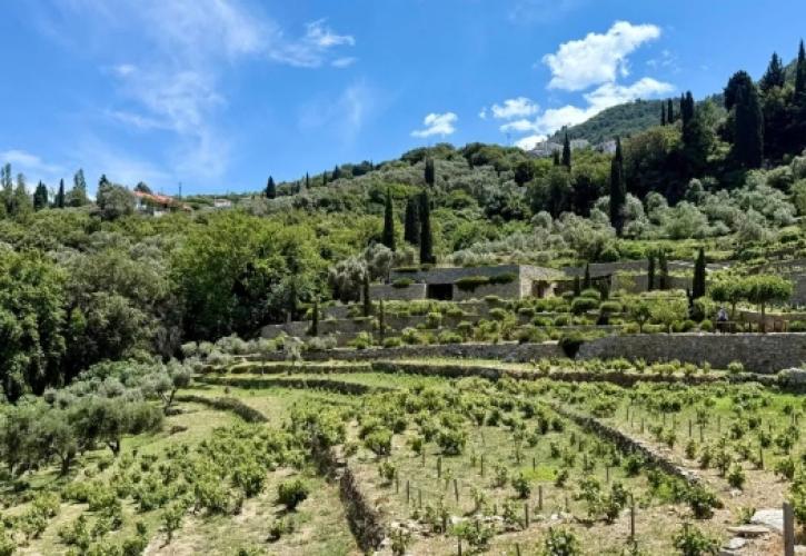 METAXA LIKNON: Το πρωτοποριακό «σπίτι» του Οίκου Μεταξά στη Σάμο
