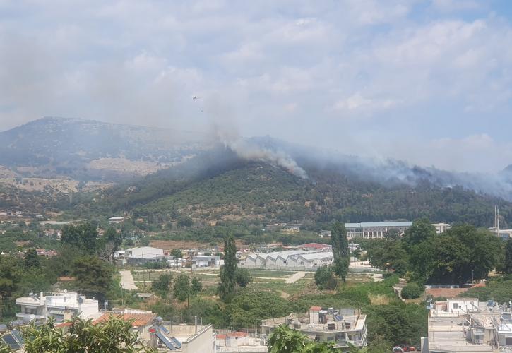 Καβάλα: Έσβησε η φωτιά που ξέσπασε στην ανατολική είσοδο της πόλης