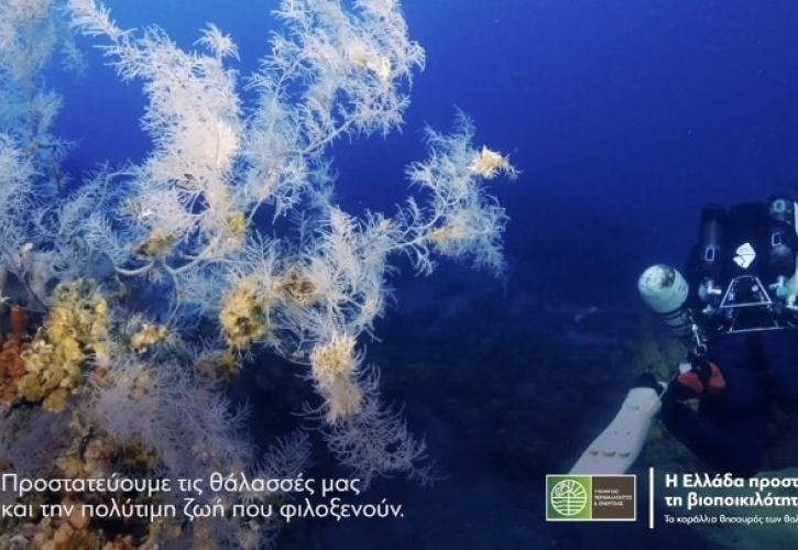 ΥΠΕΝ: Η Ελλάδα προστατεύει τα κοράλλια στους Φούρνους Κορσεών