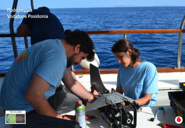 Πρόγραμμα Vodafone Posidonia: Στο φως περισσότερα λιβάδια Ποσειδωνίας