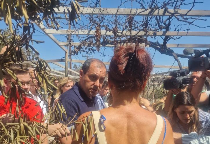 Αυτοψία στις καμένες περιοχές του Δήμου Διονύσου από τον Κ. Κατσαφάδο
