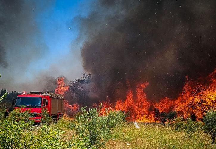 Χωρίς ενεργό μέτωπο οι πυρκαγιές σε Θεσπρωτία και Κιλκίς - Σε εξέλιξη οι φωτιές σε Καστοριά και Ευρυτανία: LIVE χάρτης