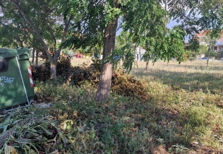Ακαθάριστα οικόπεδα: Ξεκίνησαν οι έλεγχοι της Πυροσβεστικής