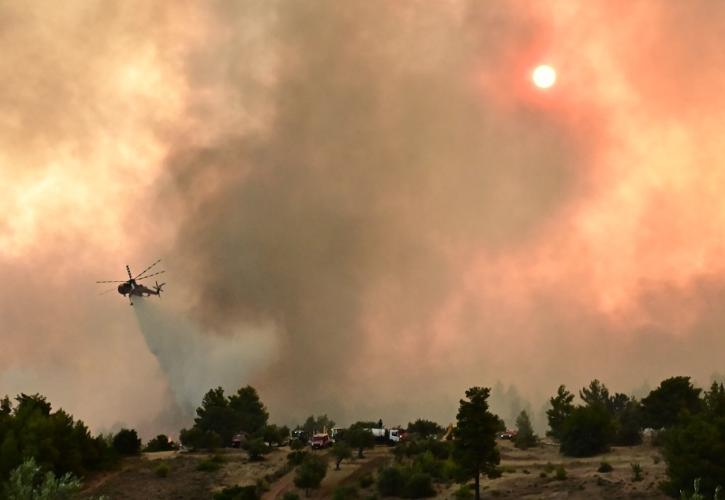 Χωρίς ενεργό μέτωπο η πυρκαγιά στον Ωρωπό - Σε επιφυλακή η Πυροσβεστική