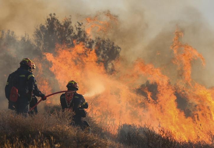 Συνεχίζεται η μάχη με τις φλόγες στην Ιεράπετρα - Αίτημα κήρυξης κατάστασης έκτακτης ανάγκης